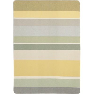 Biederlack Deka Stripe Delight 150x200