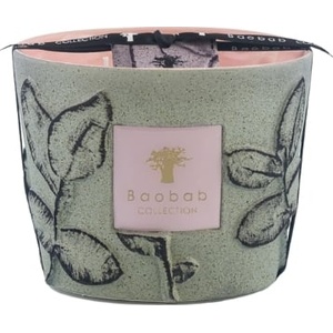 Baobab Collection Folia Maquis Ароматна свещ, 10 см (MAX10FMAQ)