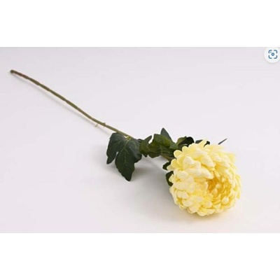 Chryzantéma 74 cm, krémová 371356 - 74 cm