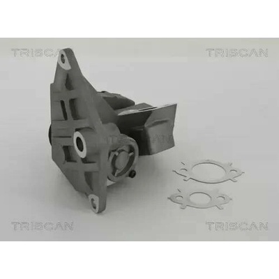 TRISCAN AGR ventil TRI 8813 29047