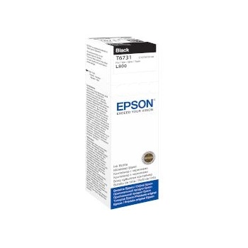 Epson Ink T6731 Black