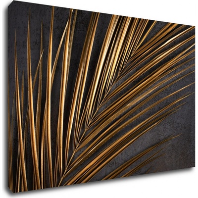 Impresi Obraz Zlatá palma - 90 x 60 cm