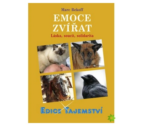 Emoce zvířat
