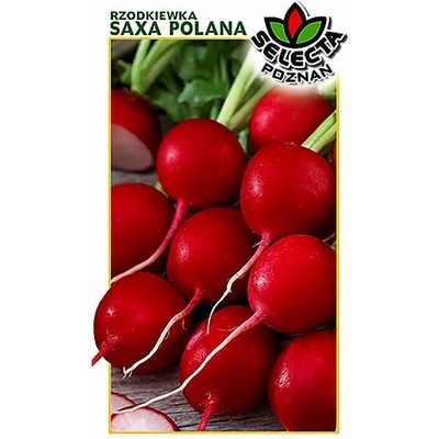 Redkvička červená guľatá "Saxa Polana" 10 g