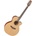 Takamine P3NC