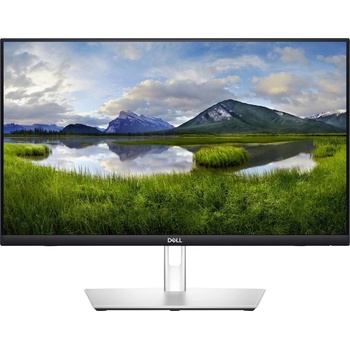 Dell P2424HT
