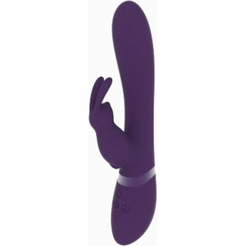 Vive Taka rabbit