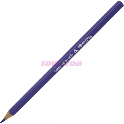 Colorino fialová R86549PTR