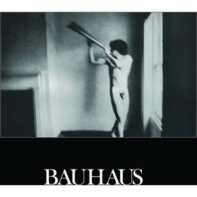 Bauhaus - In The Flat Field LP