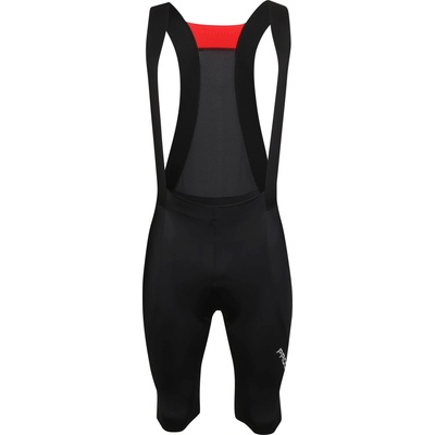 PROGRESS Giro shorts bib l