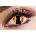Eyecasions Лещи за очи Феноменалните