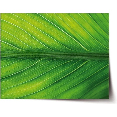 Sablio Plagát List 2 - 90x60 cm