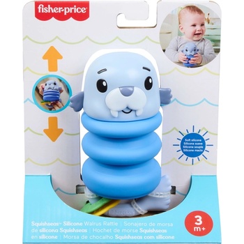 Mattel Силиконова дрънкалка Fisher Price - Squishseas, асортимент (JHB54)