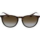 Ray-Ban RB4171 710 T5