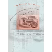 The Site of the Social: A Philosophical Account of the Constitution of Social Life and Change Schatzki Theodore R.Paperback