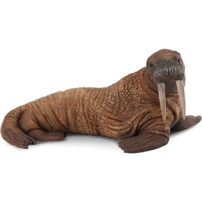 Collecta Mrož ľadový
