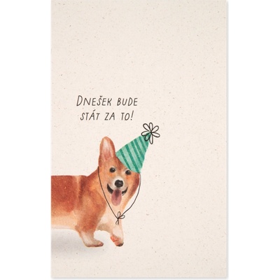 Albi Přání k narozeninám - Corgi
