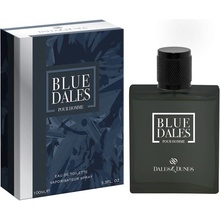 Dales & Dunes Blue Dales toaletní voda pánská 100 ml