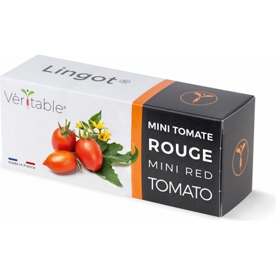 BIO Cherry rajskej pre SMART kvetináče véritable CHERRYRAJ016