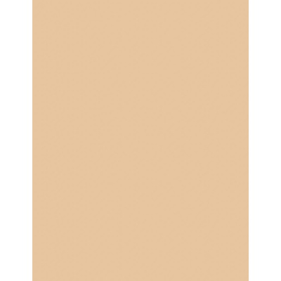 Artdeco Rich Treatment Foundation krémový make-up 10 Sunny Shell 20 ml