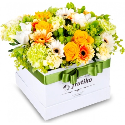 Žluto-zelený box Standard