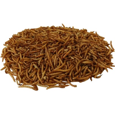 Haff Sušené múčne červy 500g