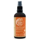 Tierra Verde Osvěžovač vzduchu – BIO pomeranč 100 ml