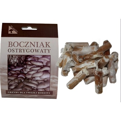 PLANTO Hlíva ústřičná 20 ks podhoubí na kolících Pleurotus ostreatus PO-HU-20 KS