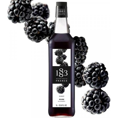Routin 1883 Ostružina 1 l