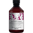 Davines NATURALTECH Replumping zacelující a hydratační šampon 250 ml