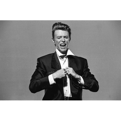 Plagát, Obraz - David Bowie, 40 × 26.7 cm