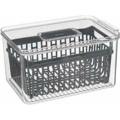 Organizér do chladničky Tidy s košem 24x15,5 cm