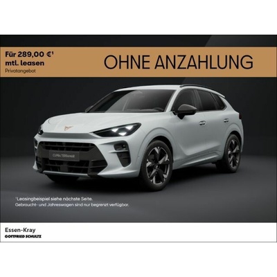 Cupra Terramar 1.5 eTSI 110 kW