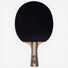 DECATHLON H3002 Chuqin & Sun
