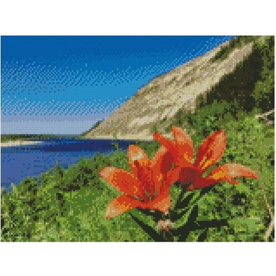 Диамантен Гоблен "Цвете на Брега" - 30 x 40 см, Квадратни мъниста