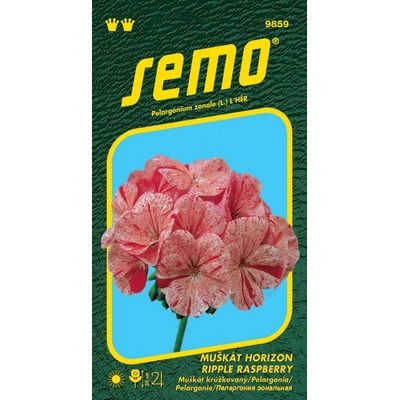 Semo Pelargonie páskatá - Horizon Ripple Raspberry 11s