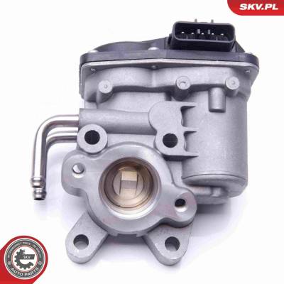 AGR-Ventil ESEN SKV 14SKV102