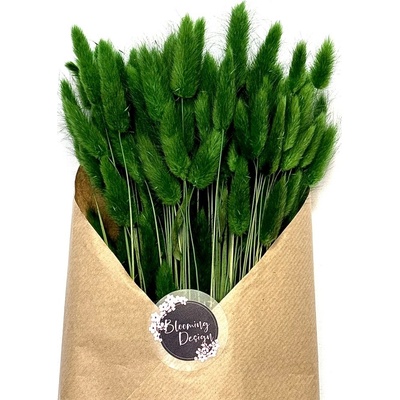 Sušený lagurus (králičí ocásek) zelený 45g