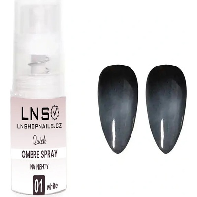 LNS OMBRE prášek ve spreji WHITE COLOR 5 g – Zboží Dáma