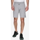 Champion BASIC shorts