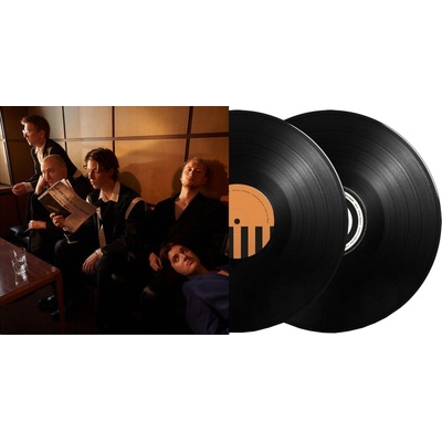 Giant Rooks - How Have You Been (180g) (2 LP) (0602455617996)