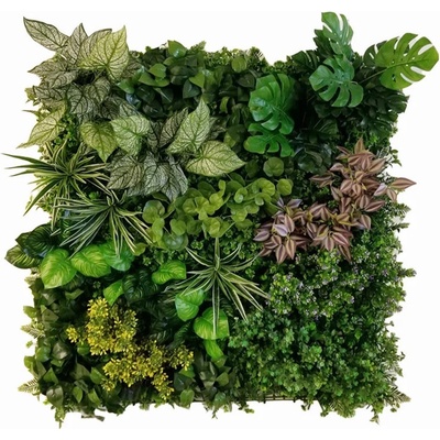 Variabilný WALL GREEN Pilea, dielec 100 x 100 cm
