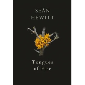 Tongues of Fire | Seán Hewitt (ISBN: 9781787332263)
