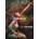 Jan Saudek Posterbook