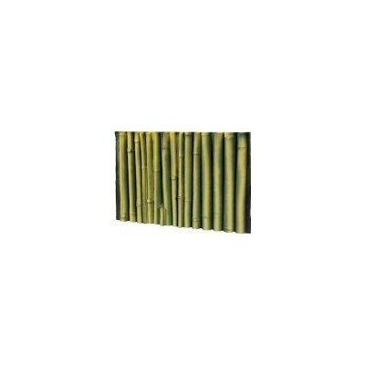 Hobby Bambus zadná stena 58 x 118 cm
