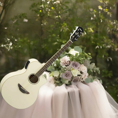 Yamaha APX600