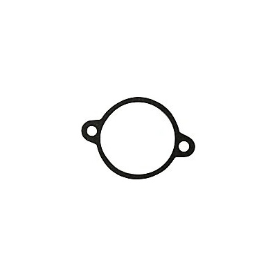 Těsnění plovákové komory Pionýr 05, 20, 21, 23 – Zboží Mobilmania
