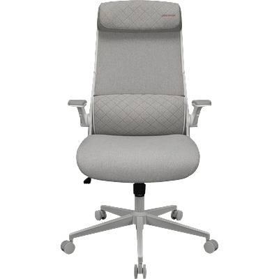 COUGAR COUGAR Stryder White Gaming Chair (CGR-STD-ASW)