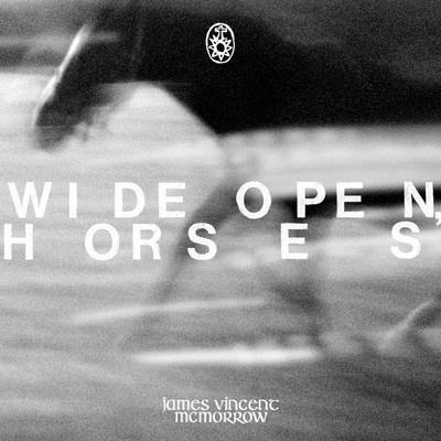 James Vincet McMorrow Wide open horses 1 CD