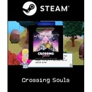 Crossing Souls